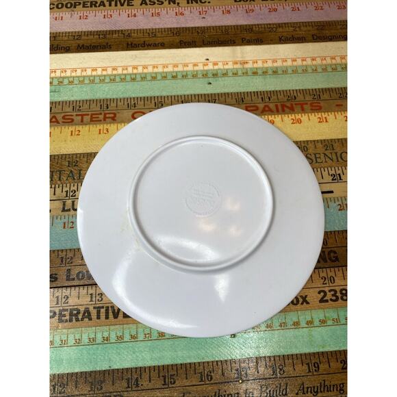 Harry Potter Melamine Plastic Plate 8” 1990s Y2k Gryffindor Hufflepuff Ravenclaw - Picture 4 of 7